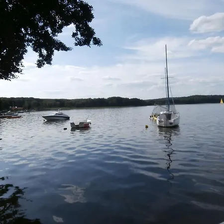 Goscinne - 哈日科维