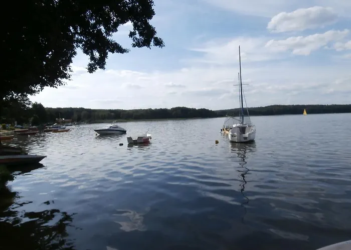 Goscinne - Charzykowy